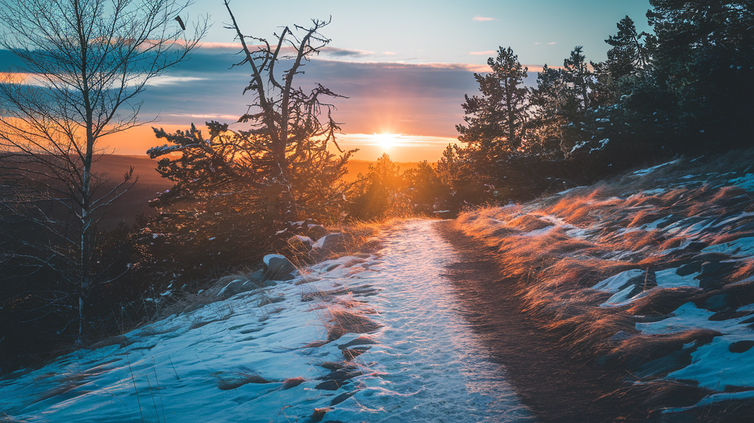 Twilight hour sunlight showing a trail covered in light snow